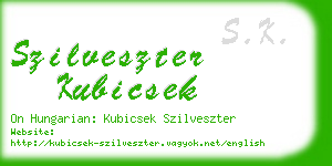 szilveszter kubicsek business card